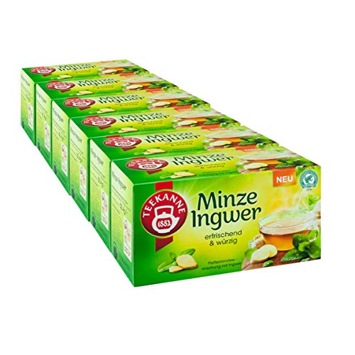 Teekanne Minze Ingwer, 6er Pack von Teekanne