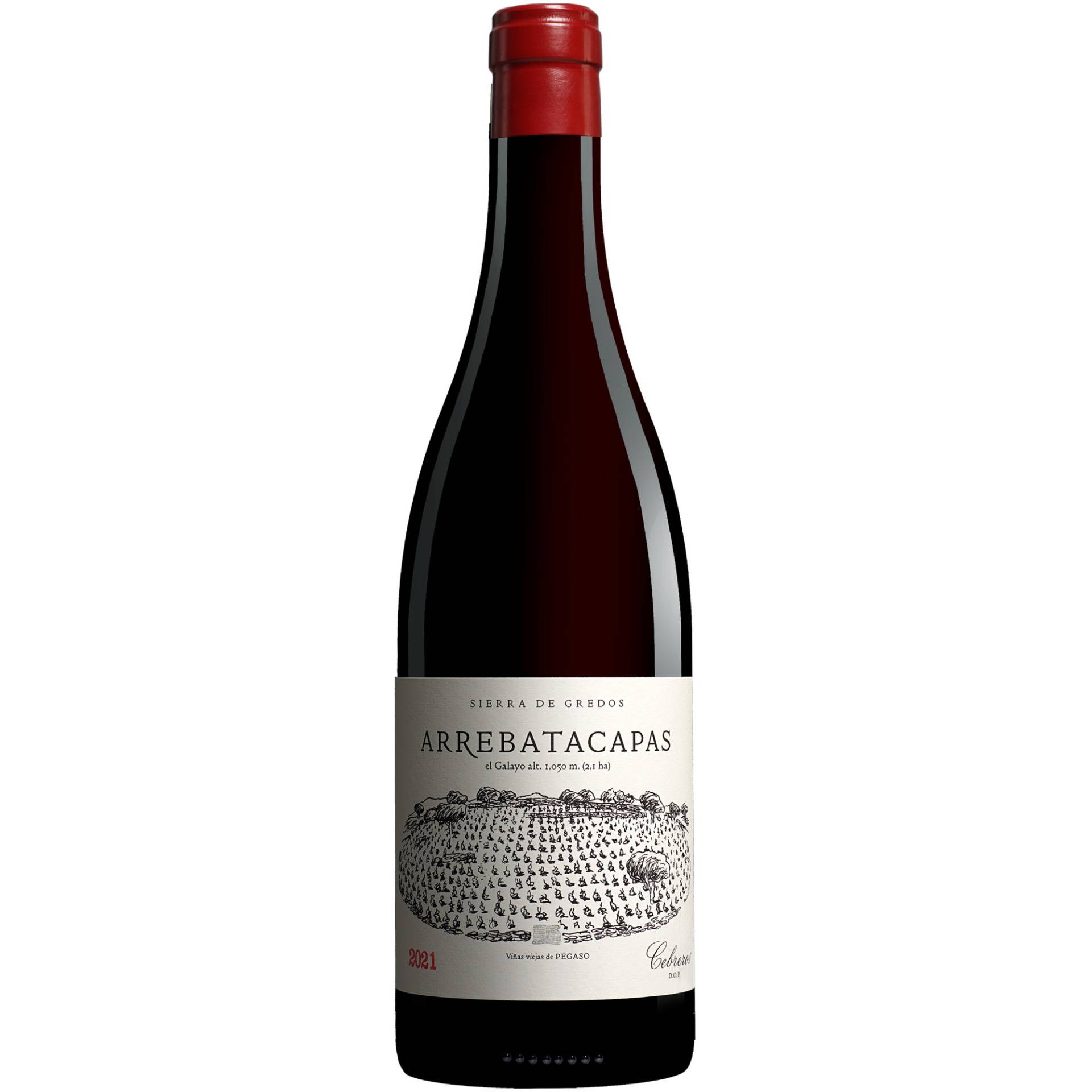 Telmo Rodríguez Pegaso Arrebatacapas 2021  0.75L 14.5% Vol. Rotwein Trocken aus Spanien von Telmo Rodríguez