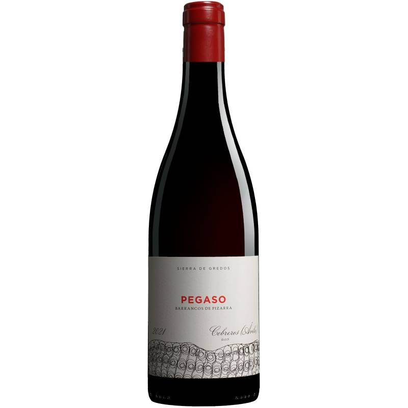 Telmo Rodríguez Pegaso »Barrancos de Pizarra« 2021  0.75L 14.5% Vol. Rotwein Trocken aus Spanien von Telmo Rodríguez