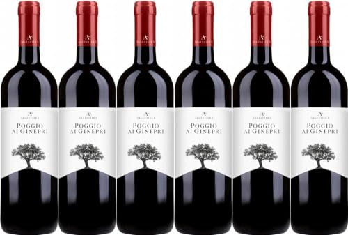 6x Argentiera Poggio ai Ginepri Rosso Toscana 2022 - Tenuta Argentiera, Bolgheri - Rotwein von Tenuta Argentiera