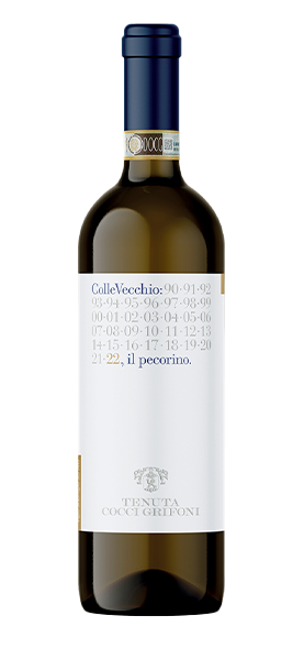 "Colle Vecchio" Pecorino Offida DOCG 2024 von Tenuta Cocci Grifoni