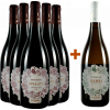 Tenuta Viglione  5+1 Paket Primitivo & Verdeca von Tenuta Viglione