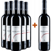 Zai 2018 5+1 Paket Bordocolle Rosso Merlot Cabernet Veneto IGP von Tenuta Zai