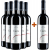 Zai 2018 5+1 Paket Corin Merlot Colli Berici DOC von Tenuta Zai