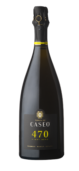 "470" Pinot Nero Metodo Classico 2018 von Tenuta di Caseo