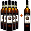 Tenute Casoli 2022 5+1 Paket Le Crete Greco di Tufo DOCG von Tenute Casoli