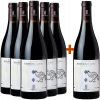 Tenute Costa 2021 5+1 Paket Duecorti Nebbiolo D'Alba DOC von Tenute Costa