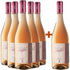 Tenute Costa 2023 5+1 Paket Terredifiori A Mare Rosé Toscana IGP von Tenute Costa