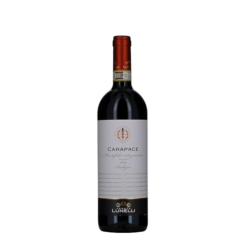 Montefalco Sagrantino DOCG Carapace Tenute Lunelli 2019 0,75 ℓ von Castelbuono