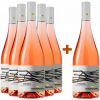 Navarra 2023 5+1 Paket Disiata Frappato Rosato Terre Siciliane IGP von Tenute Navarra