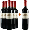 Teresa Raiz 2023 5+1 Paket Merlot Le Marsure Friuli DOC von Teresa Raiz