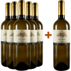 Teresa Raiz 2023 5+1 Paket Pinot Grigio Le Marsure Friuli DOC von Teresa Raiz