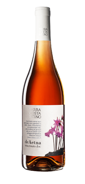 Etna Rosato "De Aetna" DOC 2021 von Terra Costantino