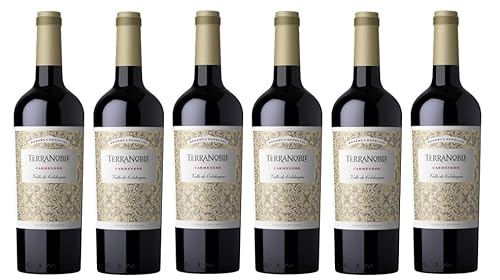 6x 0,75l - 2022er - Terra Noble Winery - Reserva Especial - Carménère - Valle de Colchagua W.O. - Chile - Rotwein trocken von Terra Noble Winery