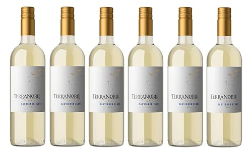 6x 0,75l - 2023er - Terra Noble Winery - Estate - Sauvignon Blanc - Valle Central W.O. - Chile - Weißwein trocken von Terra Noble Winery