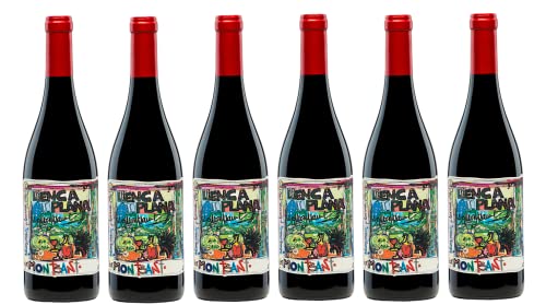 6x 0,75l - 2020er - Terra de Falanis - Llenca Plana - Montsant D.O.P. - Spanien - Rotwein trocken von Terra de Falanis