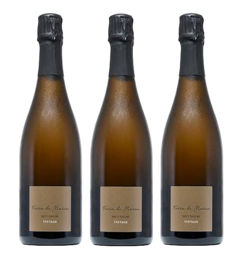 3x 0,75l - 2013er - Terra de Marca - Brut Nature Vintage - Cava D.O.P. - Spanien - Schaumwein brut von Terra de Marca