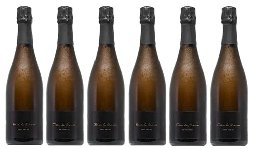 6x 0,75l - 2017er - Terra de Marca - Brut Nature - Cava D.O.P. - Spanien - Schaumwein brut von Terra de Marca