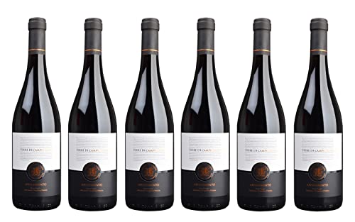 6x 0,75l - Terre di Campo Sasso - Appassimento - Puglia I.G.P. - Apulien - Italien - Rotwein halbtrocken von Terre di Campo Sasso - Apulien