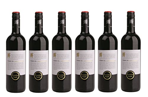 6x 0,75l - 2021er - Terre di Campo Sasso - Primitivo - Puglia - I.G.P. - Apulien - Italien - Rotwein trocken von Terre di Campo Sasso