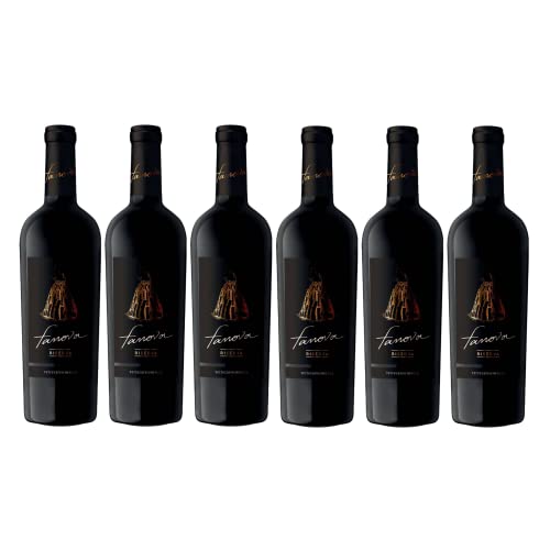 6x 0,75l - Terrecarsiche 1939 - Fanova - Primitivo Riserva - Gioia del Colle I.G.P. - Apulien - Italien - Rotwein trocken von Terrecarsiche 1939