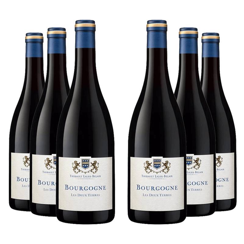 Thibault Liger-Belair : Bourgogne Gamay "Les 2 Terres" 2020 von Thibault Liger-Belair