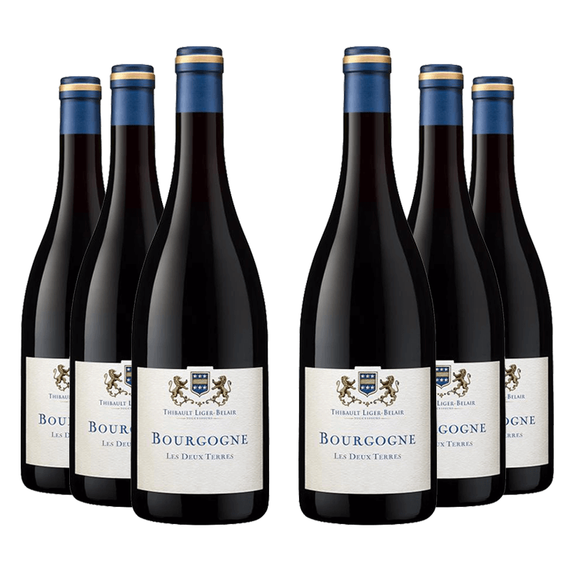 Thibault Liger-Belair : Bourgogne Gamay "Les 2 Terres" 2021 von Thibault Liger-Belair