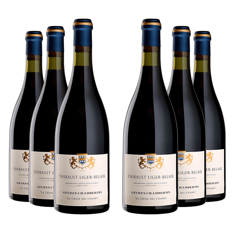 Thibault Liger-Belair : Gevrey-Chambertin Village "La Croix des Champs" 2021 von Thibault Liger-Belair