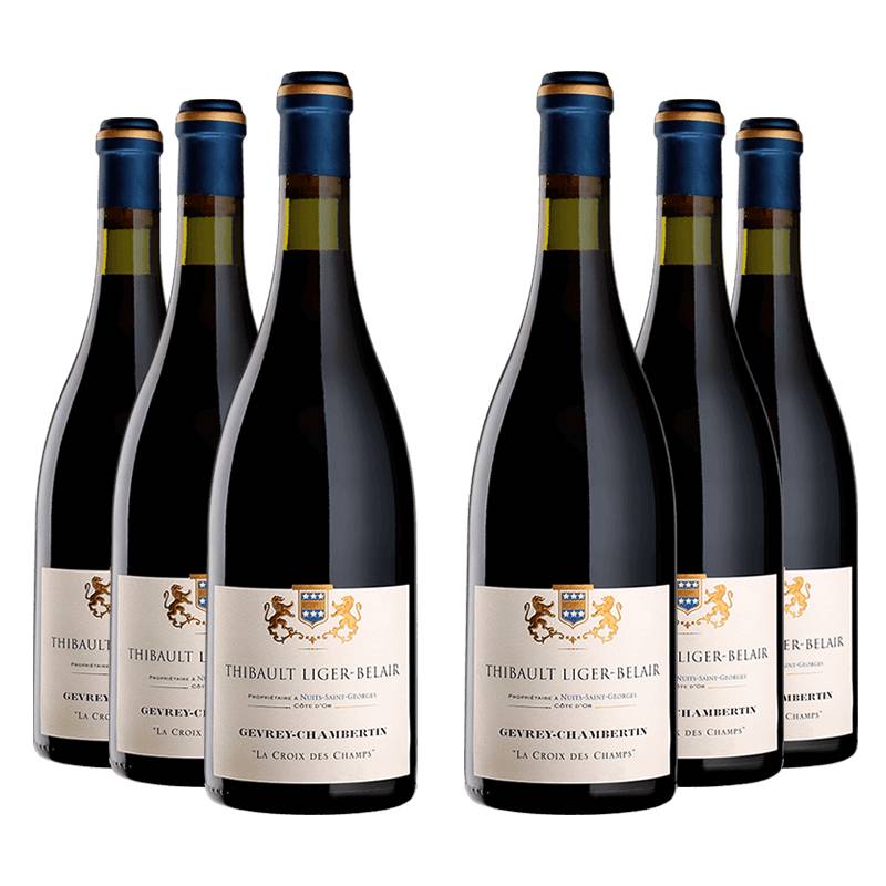 Thibault Liger-Belair : Gevrey-Chambertin Village "La Croix des Champs" 2021 von Thibault Liger-Belair