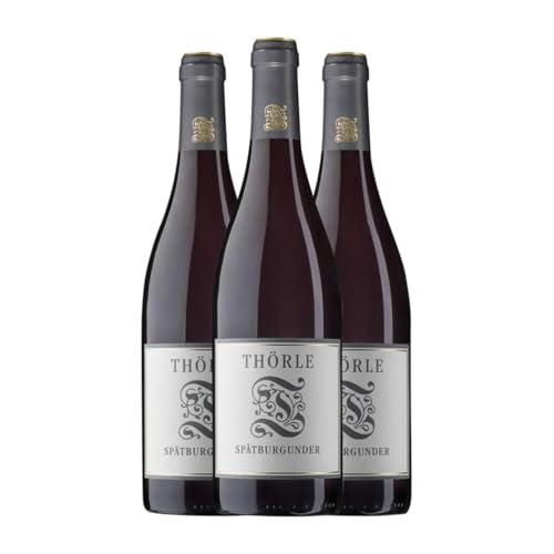 Thörle Spätburgunder Trocken Rheinhessen 75 cl Rotwein (Karton mit 3 Flaschen von 75 cl) von Thörle