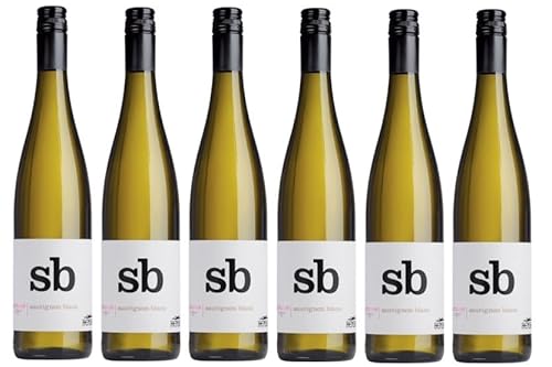 6x 0,75l - 2022er - Thomas Hensel - Aufwind - Sauvignon Blanc - Qualitätswein Pfalz - Deutschland - Weißwein trocken von Thomas Hensel