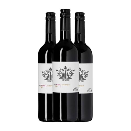 Thomas Hensel Aufwind Saint Laurent & Cabernet Cuvée Trocken Pfälz 75 cl Rotwein (Karton mit 3 Flaschen von 75 cl) von Thomas Hensel