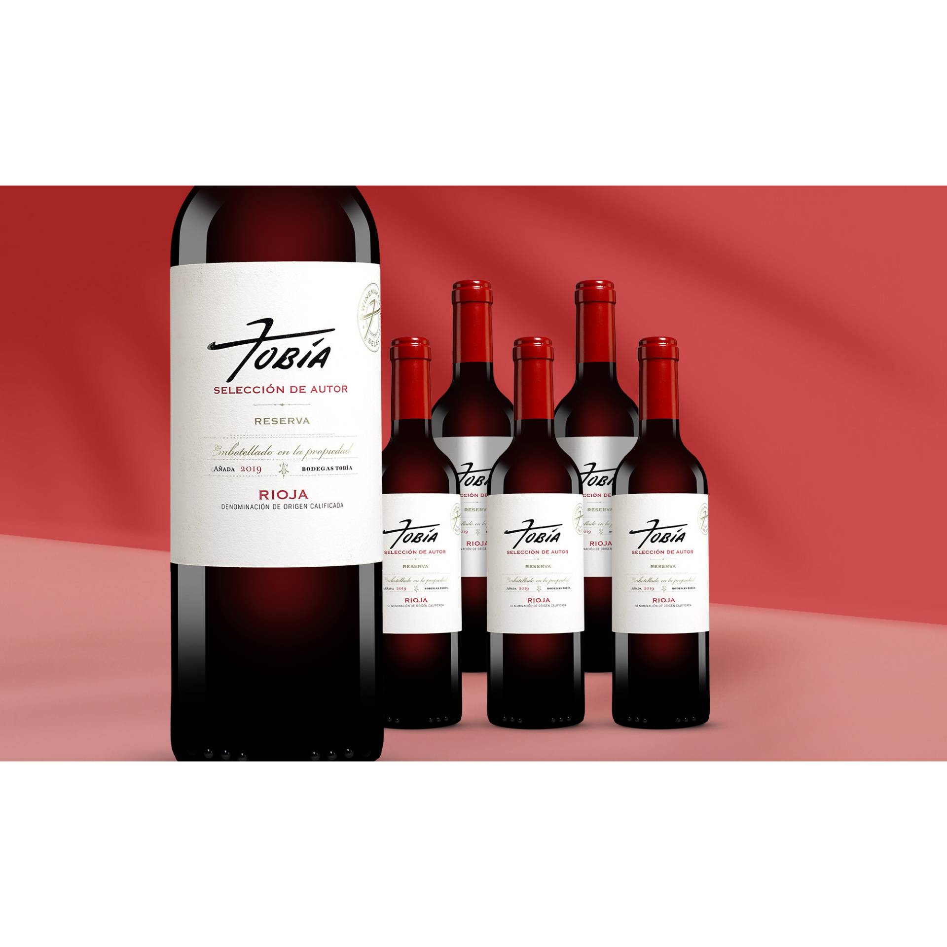 Tobia Seleccion de Autor Reserva 2019  4.5L 14.5% Vol. Weinpaket aus Spanien von Tobía