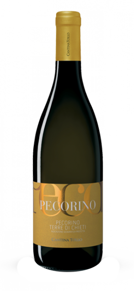 Pecorino Terre di Chieti IGP 2023 von Tollo