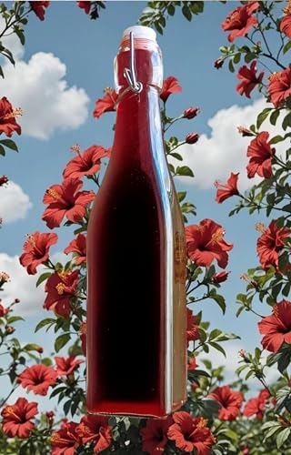 100% hibiscus concentrate with lime. 500ml for 5 l of carcade or cocktails von Tooludic