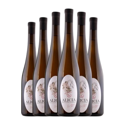 Cidre Trabanco Alicia 75 cl (Karton mit 6 Flaschen von 75 cl) von Trabanco