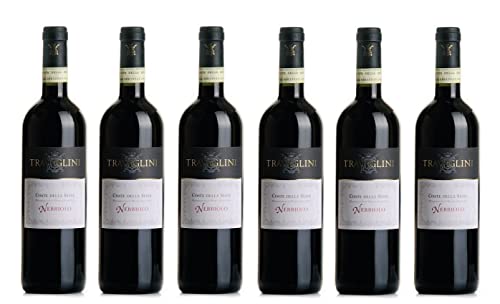 6x 0,75l - 2023er - Travaglini - Nebbiolo - Coste della Sesia D.O.P. - Piemonte - Italien - Rotwein trocken von Travaglini