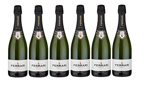 FERRARI TRENTODOC METODO CLASSICO BRUT [ 6 FLASCHEN x 750ml ] ohne Geschenkverpackung von Trentodoc