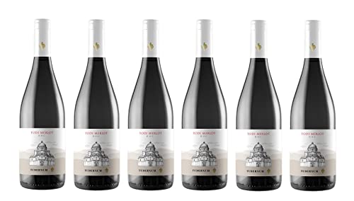 6x 0,75l - 2020er - Tudernum - Merlot - Todi D.O.P. - Umbrien - Italien - Rotwein trocken von Tudernum