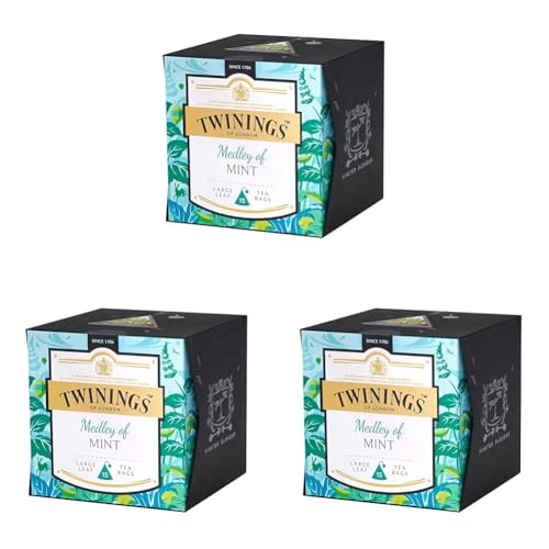 Twinings Platinum Medley of Mint Kräutertee - erfrischender Pfefferminztee aus zwei Arten Pfefferminze im Pyramiden-Teebeutel mit hochwertiger Pfefferminze und grüner Minze, 15 Teebeutel (30 g) von Twinings