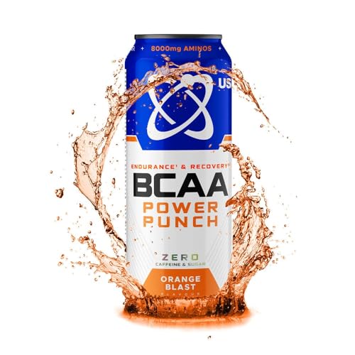 USN - Bcaa Power Punch (500ml) - BCAA-Getränke - Energy drink avec goûts fruités - Orange von USN