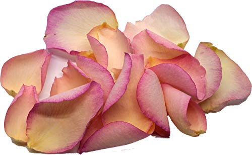 Vintage Pink Rose Petals - by Uncle Roy's - 200g/20Ltr Box von Uncle Roy's