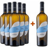 Urciuolo Vini 2023 5+1 Paket Favella Irpinia Falanghina DOC von Urciuolo Vini