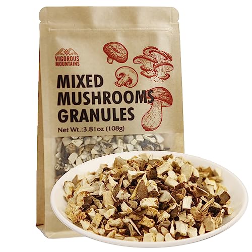 VIGOROUS MOUNTAINS Getrocknete verschiedene Pilze Körner zum Kochen 108g einschließlich Shiitakes Champignon Porcini Auster kulinarische Pilze von VIGOROUS MOUNTAINS