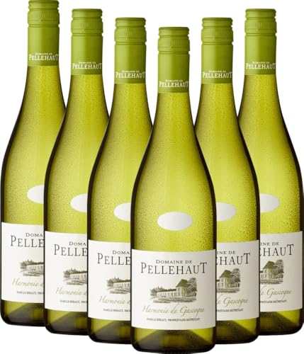 Harmonie de Gascogne Blanc Domaine de Pellehaut Weißwein 6 x 0,75l VINELLO - 6 x Weinpaket inkl. kostenlosem VINELLO.weinausgießer von VINELLO