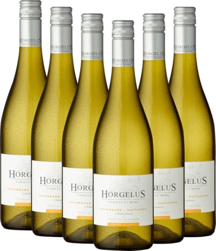 Horgelus Blanc Côtes de Gascogne Domaine Horgelus Weißwein 6 x 0,75l VINELLO - 6 x Weinpaket inkl. kostenlosem VINELLO.weinausgießer von VINELLO