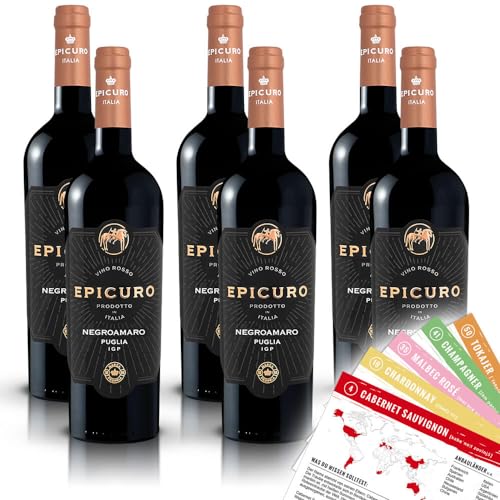 Epicuro Negroamaro Puglia, trocken, sortenreines Weinpaket + VINOX Winecards (6x0,75l) von VINOX