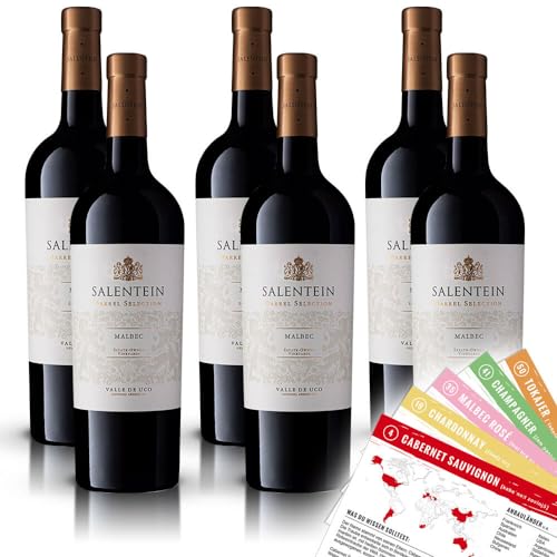 Bodegas Salentein Barrel Selection Malbec Rotwein, trocken, 2021, sortenreines Weinpaket + VINOX Winecards (6x0,75l) #1 von VINOX