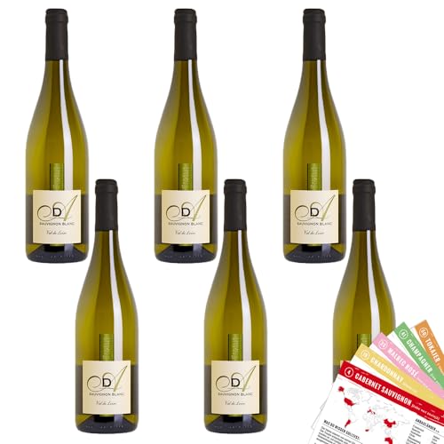 Danielle de l'Ansée Sauvignon Blanc AOC, trocken, sortenreines Weinpaket + VINOX Winecards (6x0,75l) von VINOX