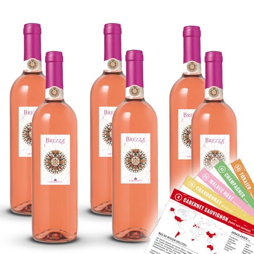 Lungarotti Brezza Rosato IGT, trocken, sortenreines Weinpaket + VINOX Winecards (6x0,75l) von VINOX